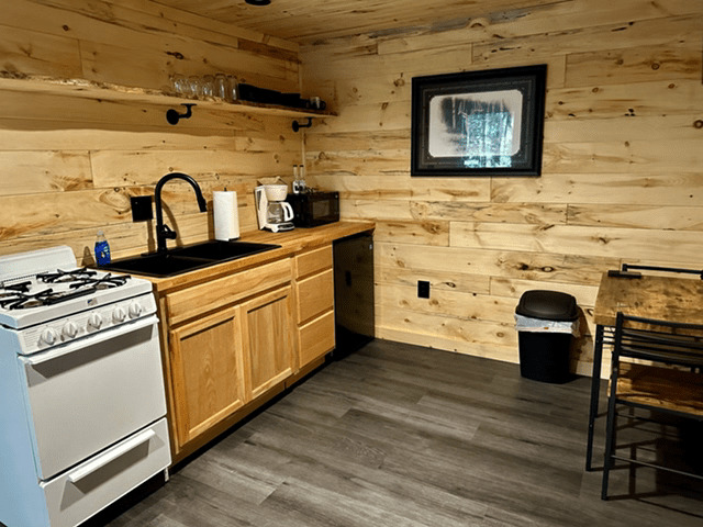 Horsehead Lake Cabin 2 kitchenette